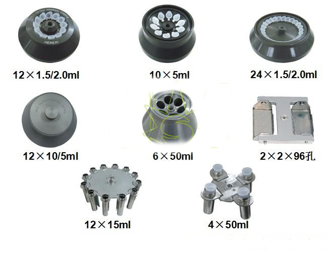 Rotors of centrifuge