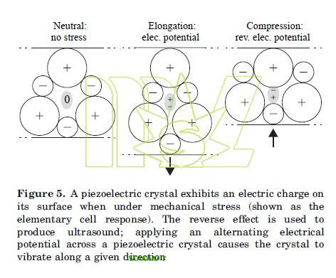 piezoelectric crystal exhibits