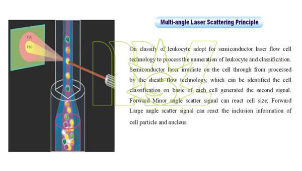 multi-angle laser scatter