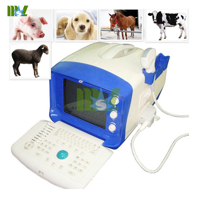 portable vet ultrasound