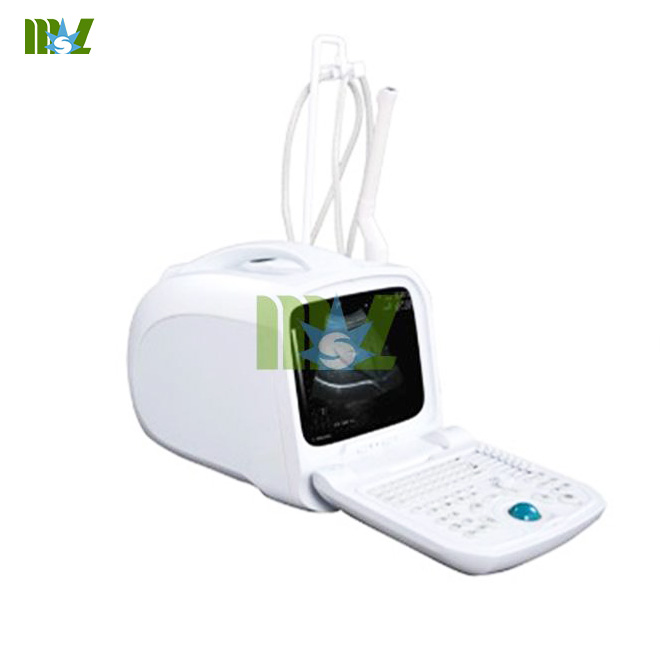 Portable Medical Ultrasonic Scanner