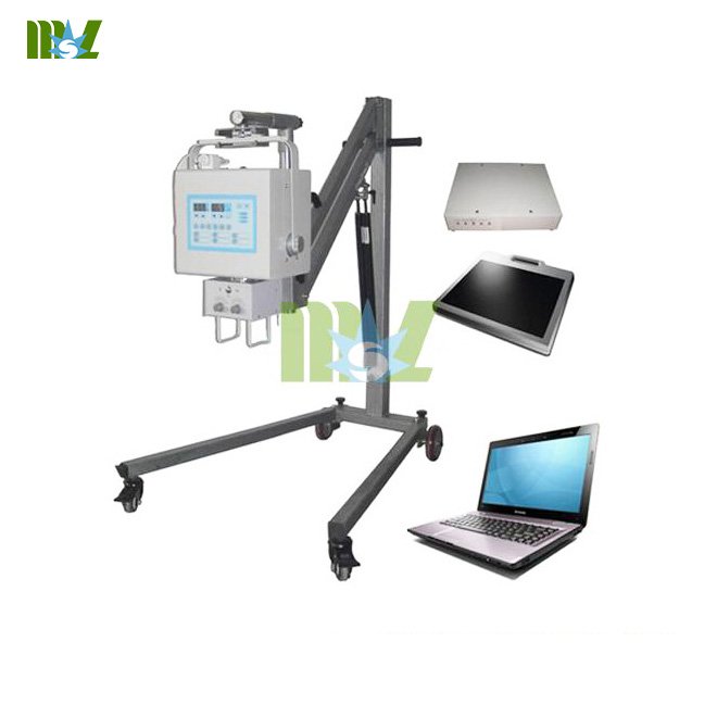 Infrared therapy apparatus introduces four main classification and