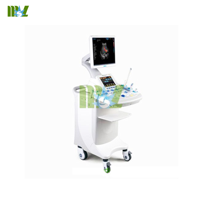 4D color doppler ultrasound system