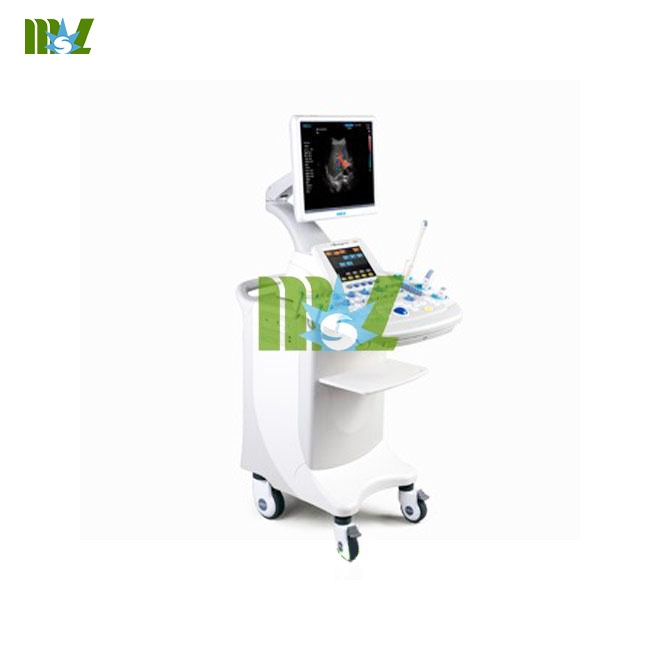 4D color doppler ultrasound system