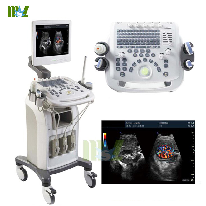 3D Color cardiac ultrasound machine / 4D Color cardiac USG with trolly MSLCU16