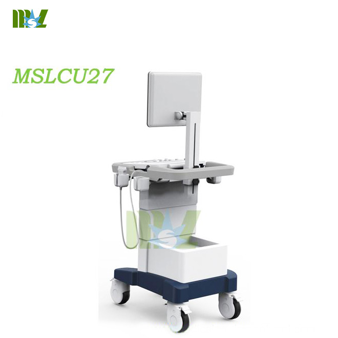 Trolley ultrasonic diagnostic imaging system