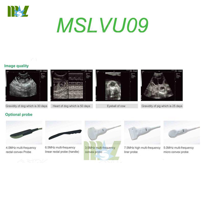 MSL medical veterinary ultrasound machine-MSLVU09 for sale