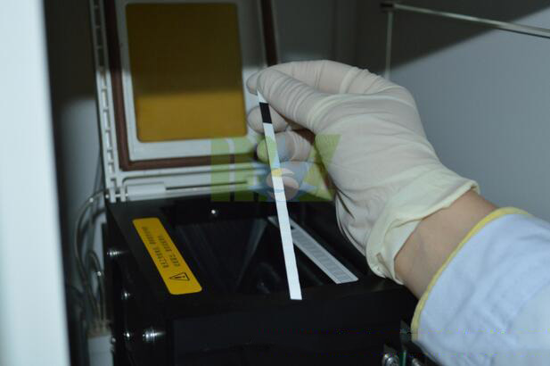 Portable Urine Analyzer MSLUA11