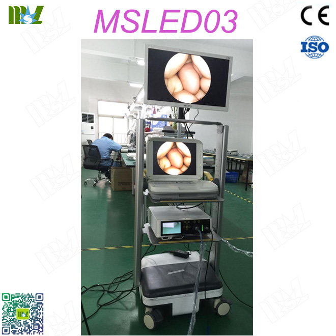 cystoscopy MSLED03