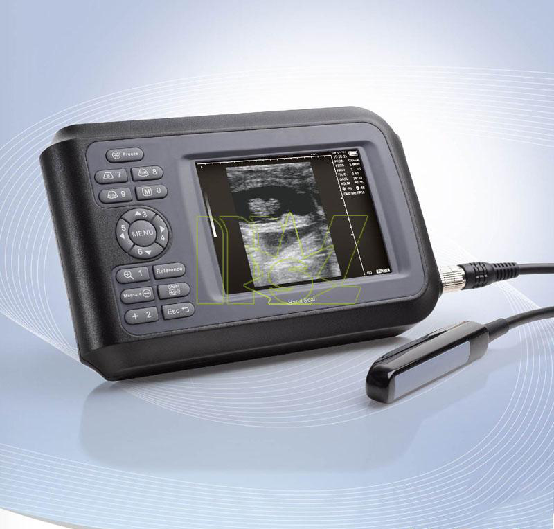 sheep ultrasound equipment