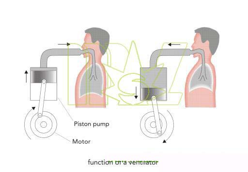 ventilator function