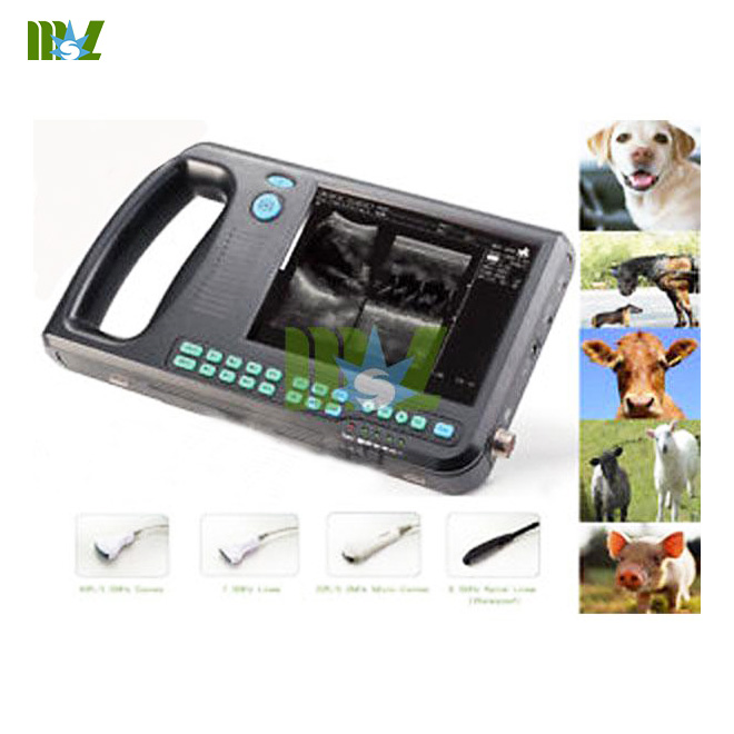 cattle ultrasound scanner