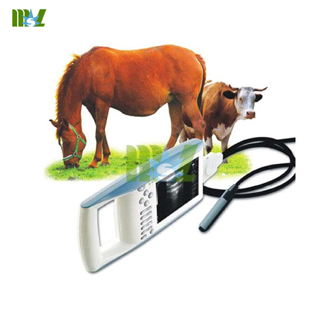 animal ultrasound machine