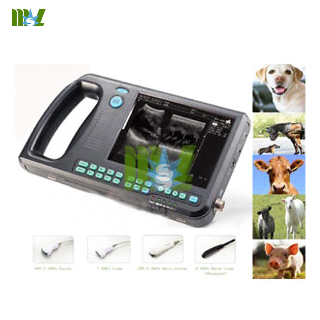 Cattle Ultrasound Scanner