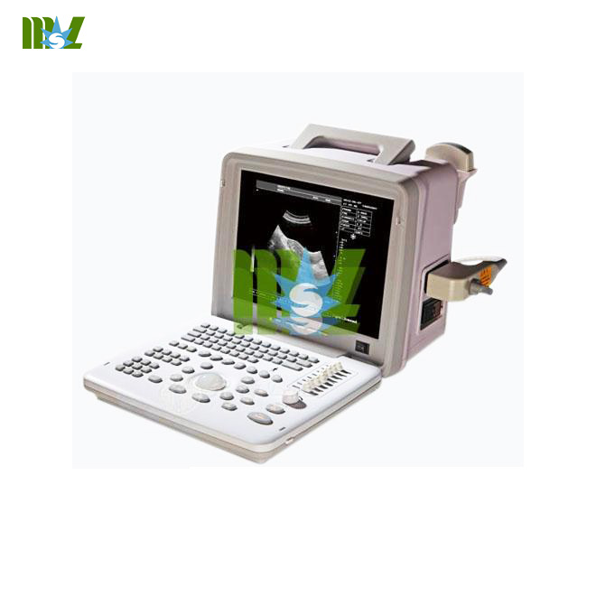 desktop human ultrasound body scanner
