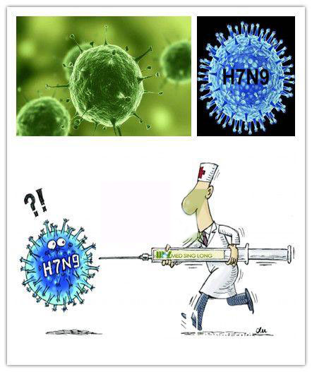 Which are the transmission of the virus