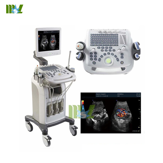 3D Color cardiac ultrasound machine / 4D Color cardiac USG with trolly MSLCU16