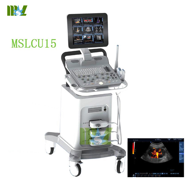 3d ultrasound machine