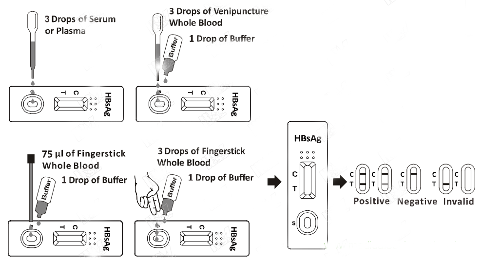 HbsAg Rapid Test Cassette