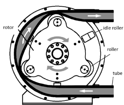 peristaltic pump