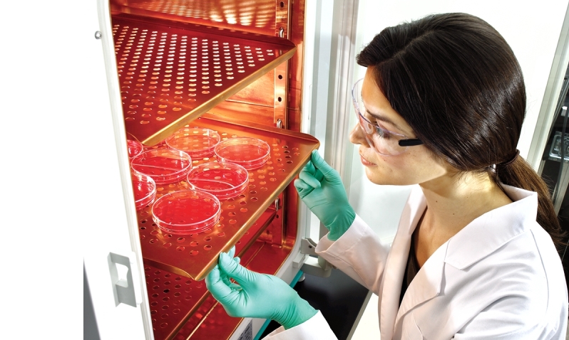 How to Minimize Contamination in Cell Culture Laboratories