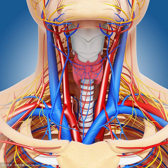 blocked artery in neck