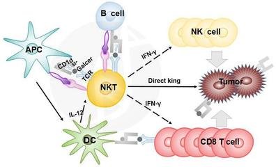 autoimmune disease