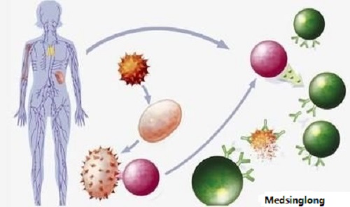 autoimmune disease