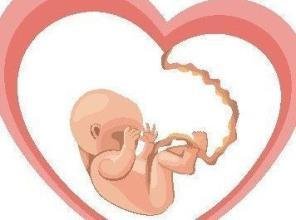 fetal cardiac ultrasound